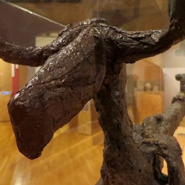 Trobada pedagògica de l’exposició “Fams i abundàcies”